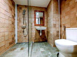 Dunearn Road (D11), Condominium #437447521
